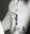 Gay_not_gay.png