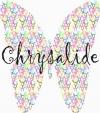chrysalide-_association.jpg
