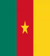 drapeau_cameroun_0852011517.png