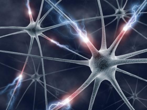 Neuronnes.jpg