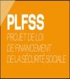 PLFSS-2013.jpg